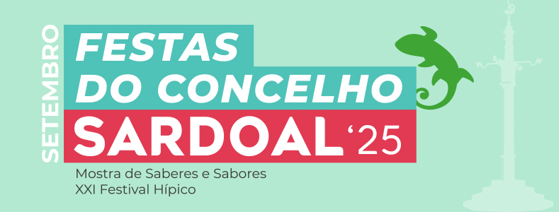 Animação Musical nas Festas do Concelho