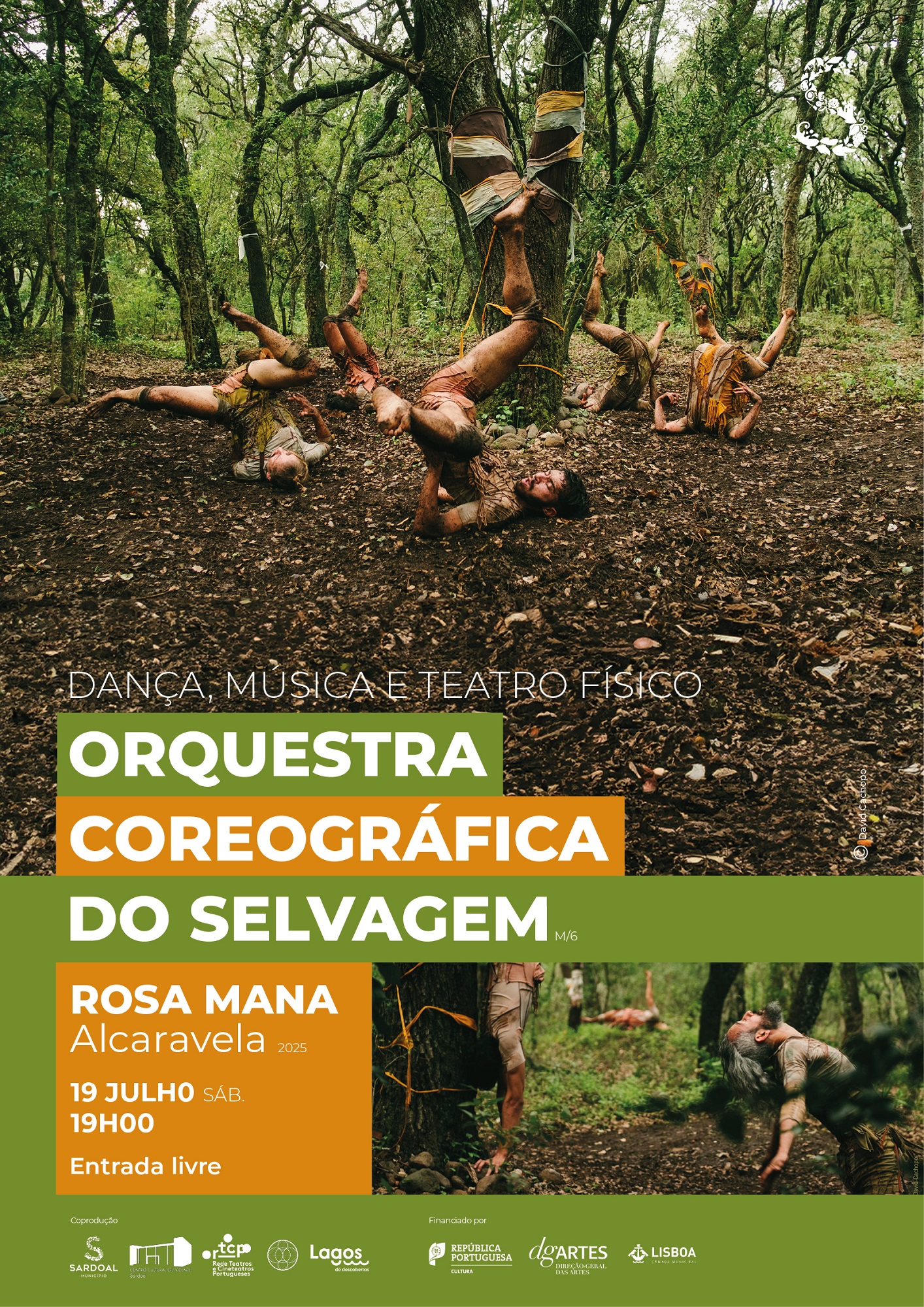 Orquestra Coreográfica do Selvagem 