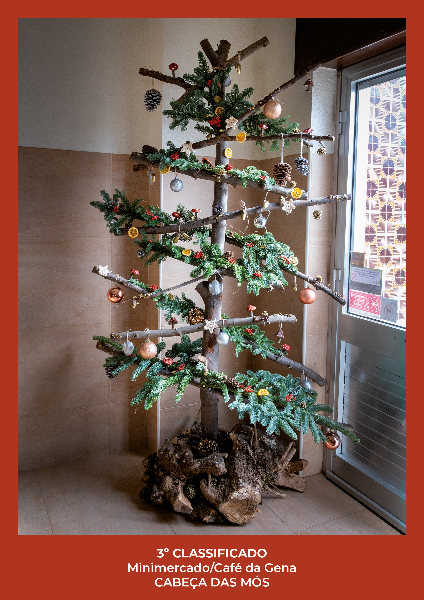 exposicao arvores natal vencedores3
