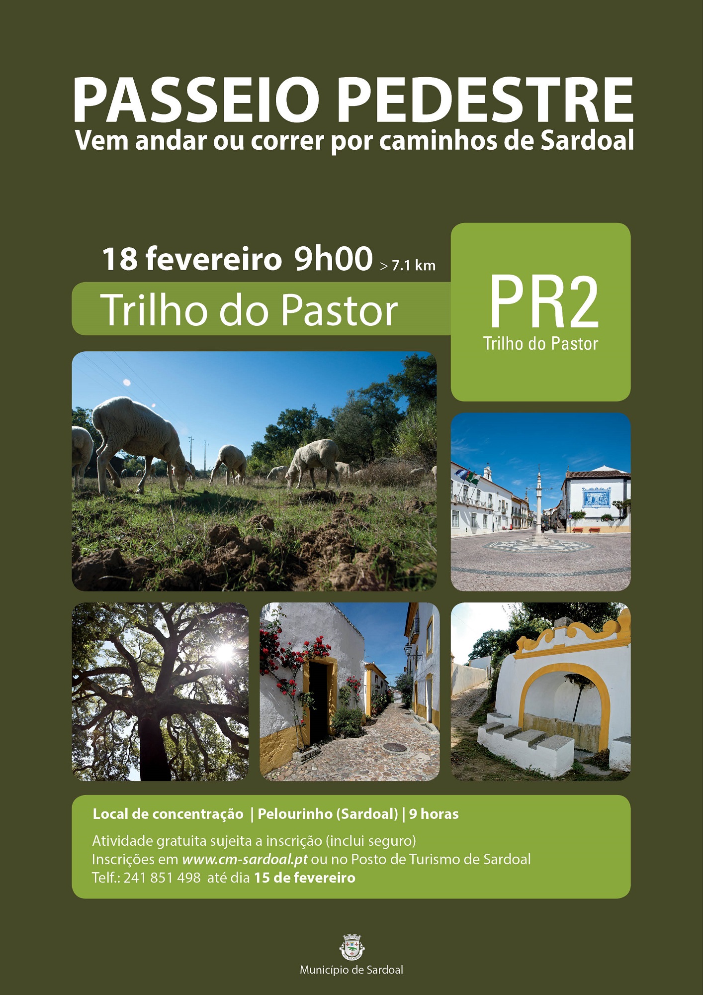 pp trilho pastor